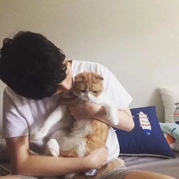 叮妮?