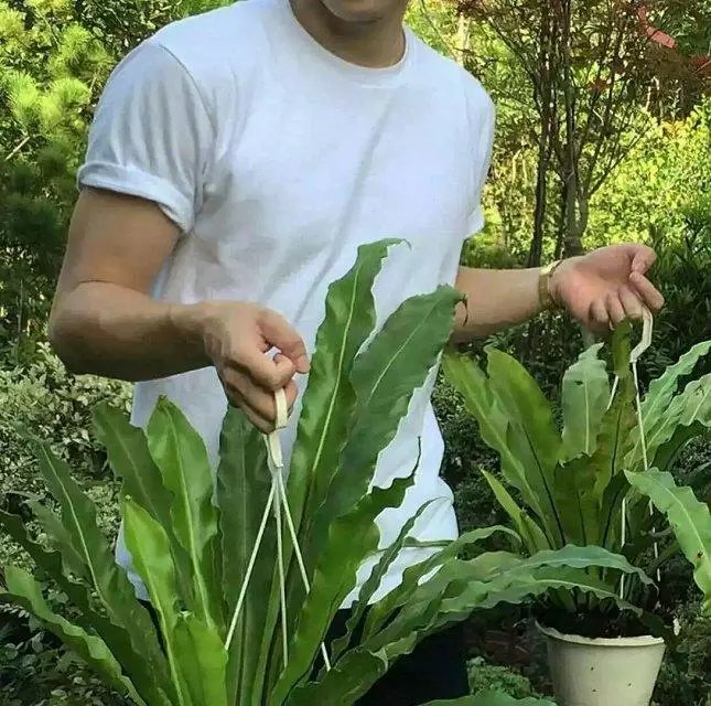 [已注销]