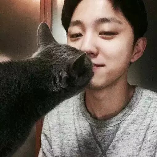 安久拉猫猫