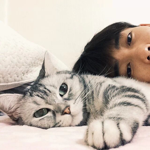 阿呆呆