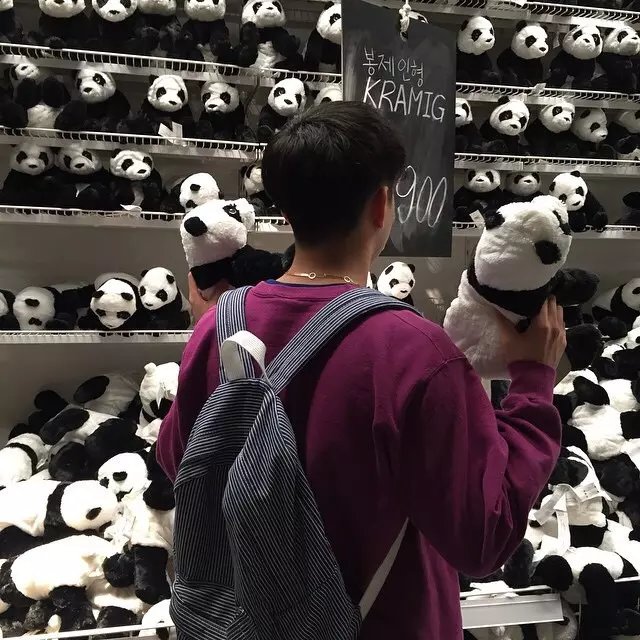 忆冷的猫